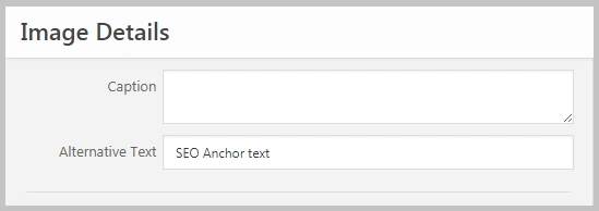 image alt text importance for seo and accessibility